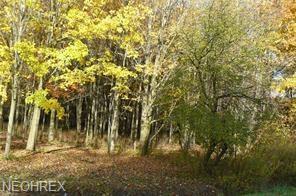 Middle Road - Photo 1