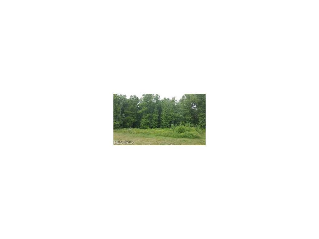 33500 Reserve Way S/L 530 - Photo 1