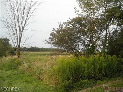 1166 Youngstown Kingsville Rd - Photo 1