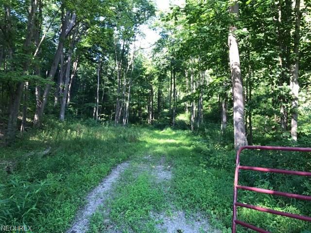 Co Rd 55/ Carnation Rd - Photo 1