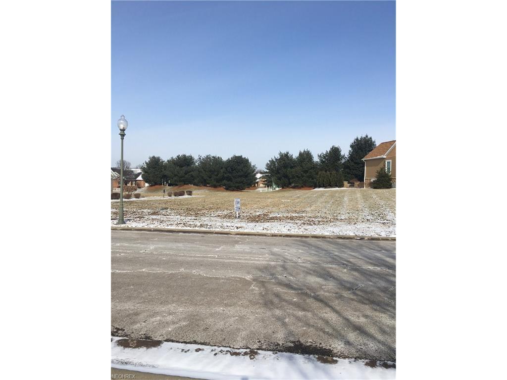 V/L Old Church Ave - Photo 1