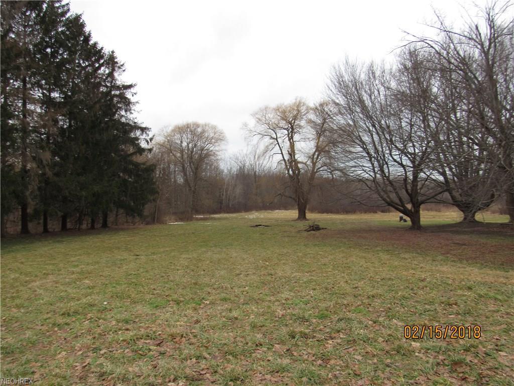 VL Ridge-Rt 20 Rd - Photo 1