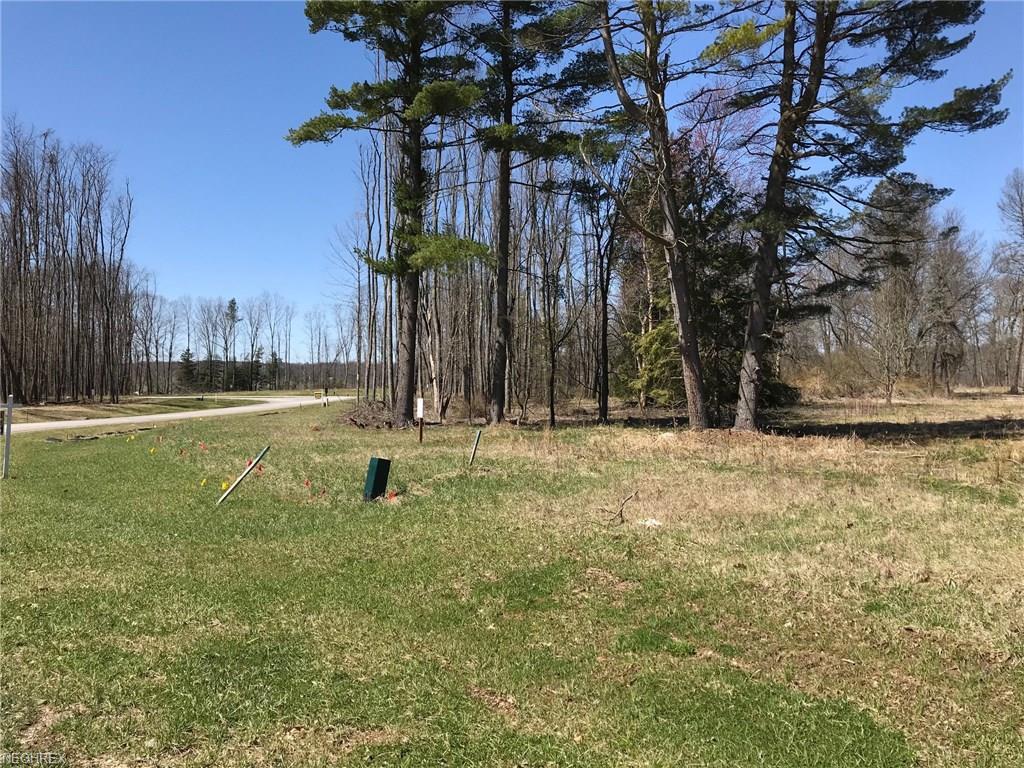 S/L 8 Addison Ln - Photo 1