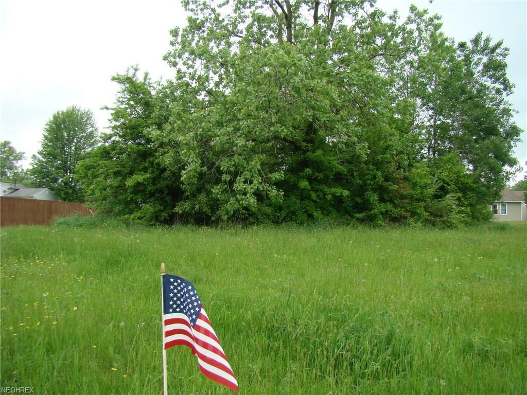 Lot 287 Green - Photo 1