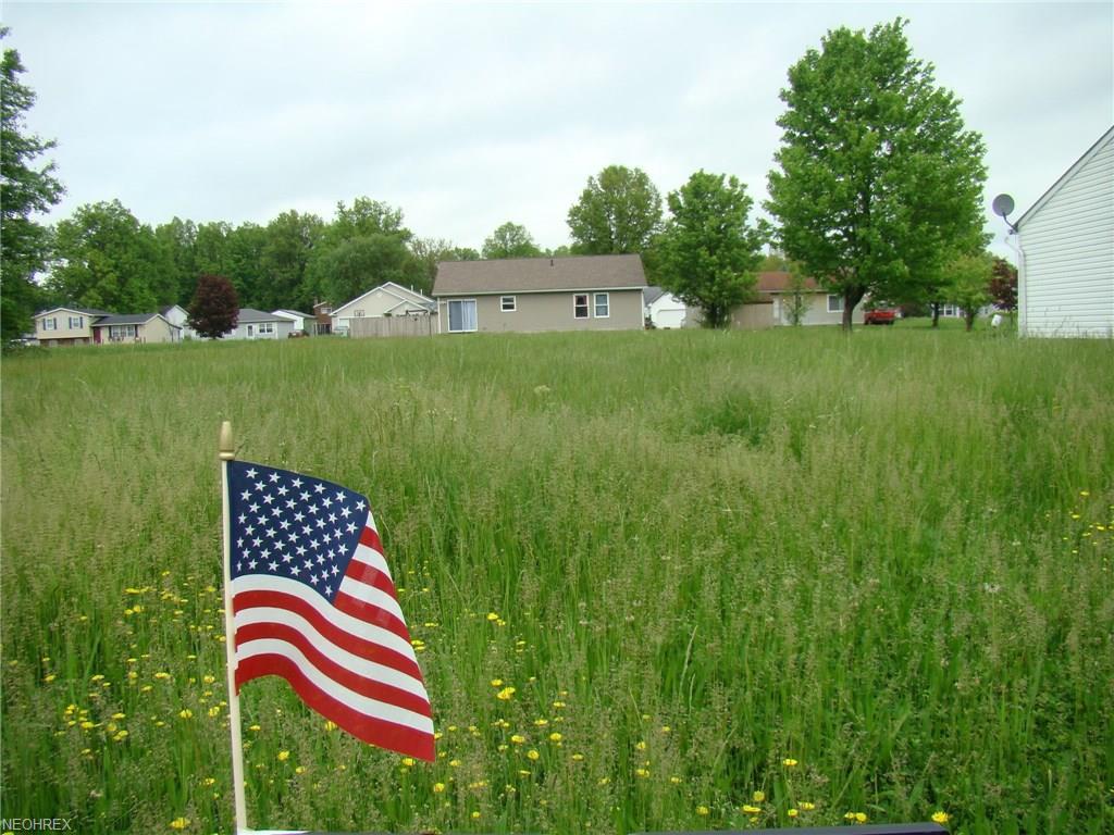 Lot 285 Green - Photo 1