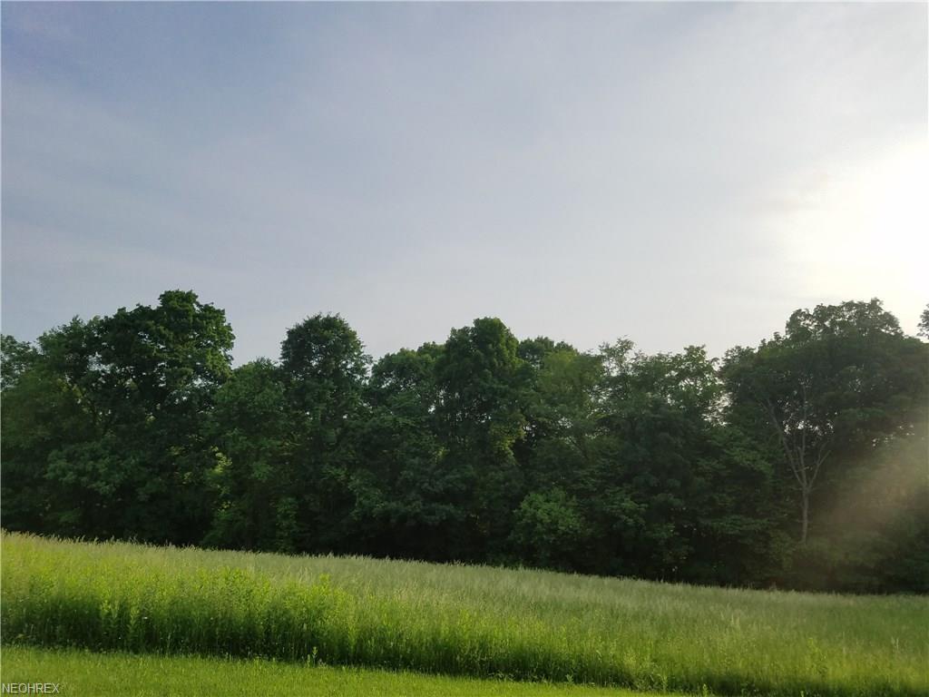 Westfall Ln - Photo 1