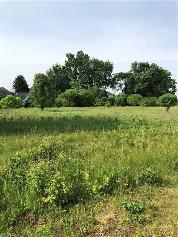 V/L Heritage Way - Photo 1