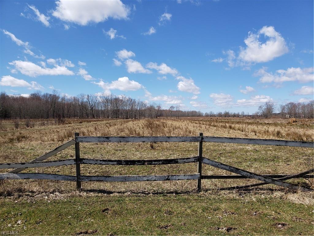 Stanhope Kelloggsville Rd - Photo 1