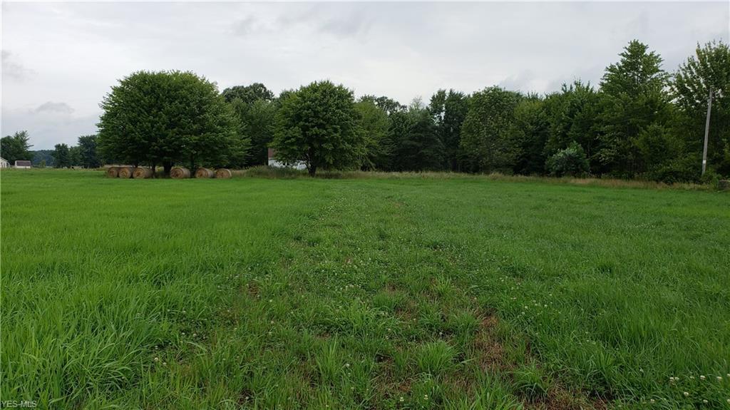 1011 Windsor Rd - Photo 1