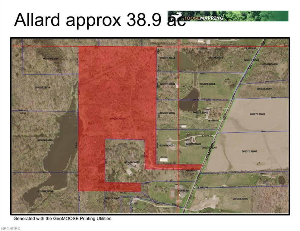 V/L Allard Rd - Photo 1