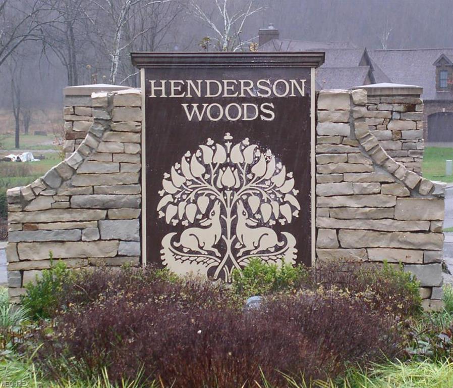 61 Henderson Woods - Photo 1