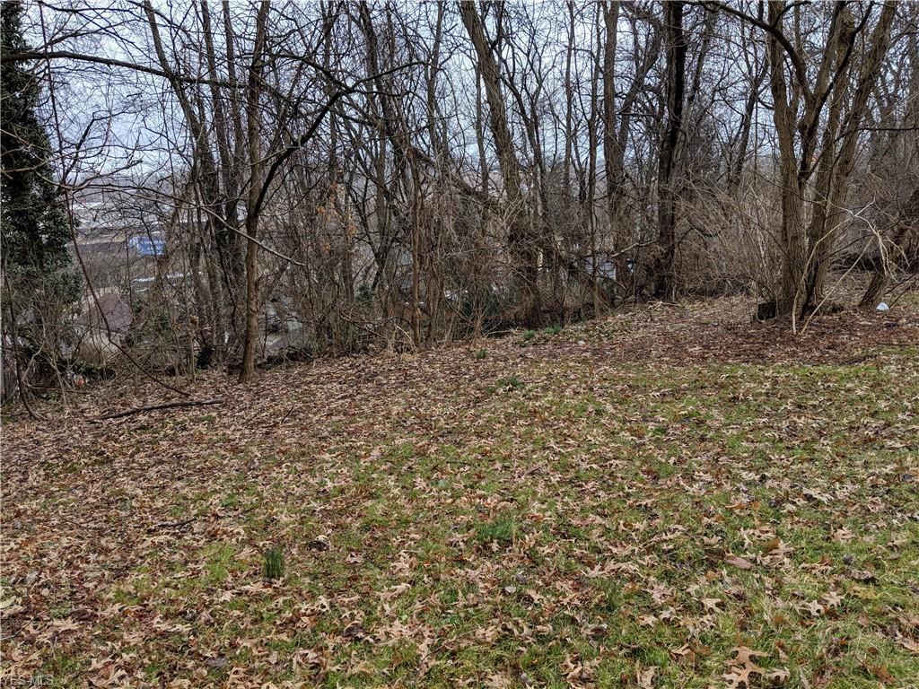 Bellfield Avenue - Photo 1