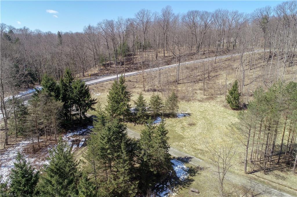 12479 Concord Hambden Road - Photo 1