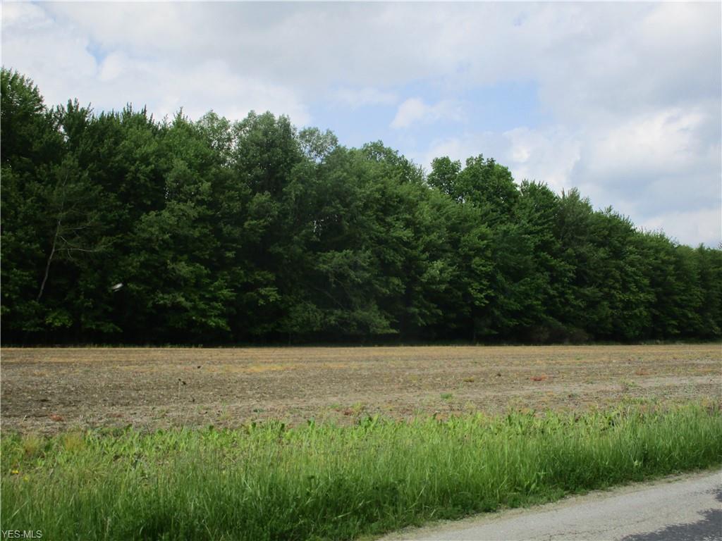 Sentinel Road - Photo 1