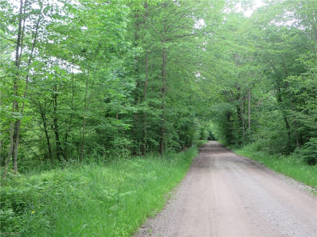 VL Calhoun & State Line Road - Photo 1