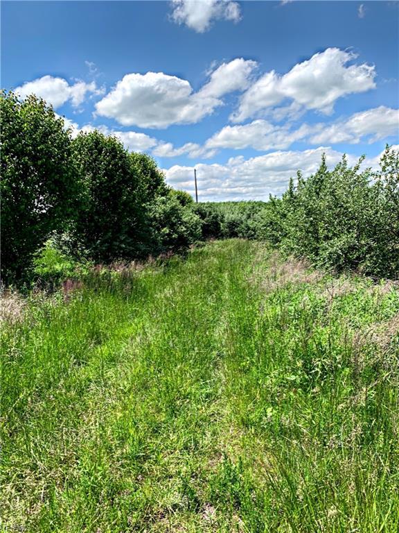 6655 High Freeland Road - Photo 1