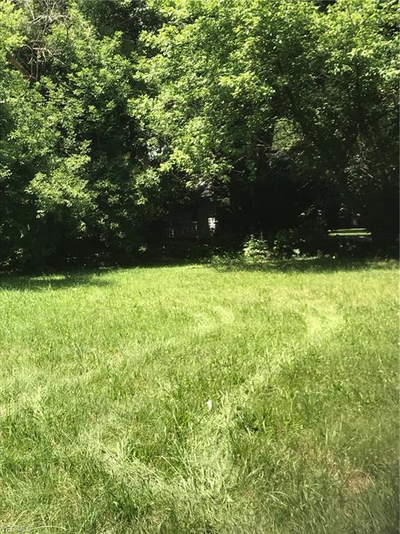 Lake O Springs Avenue - Photo 1
