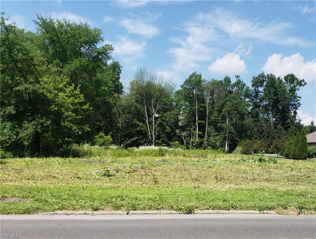 Raccoon Road - Photo 1