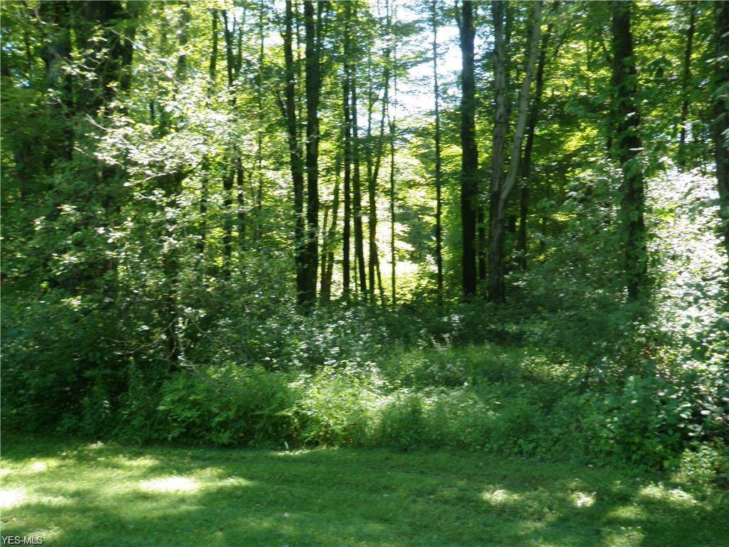 V/L Sperry Road - Photo 1