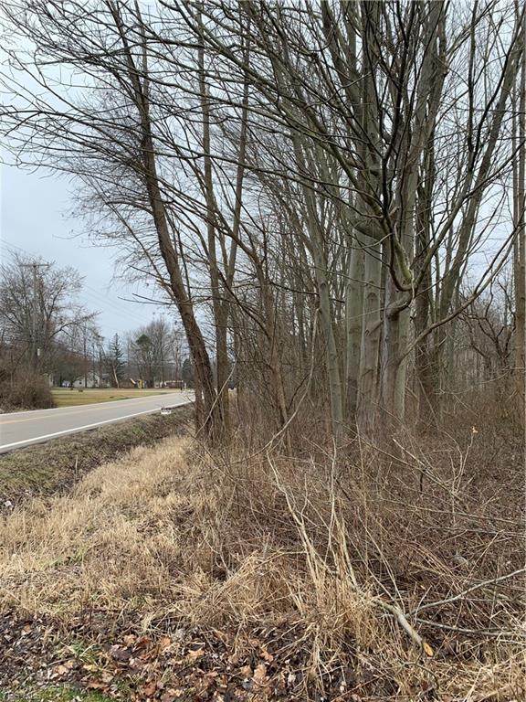 0 Niles Cortland Road - Photo 1