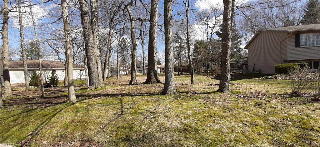 V/L Duneden Avenue - Photo 1