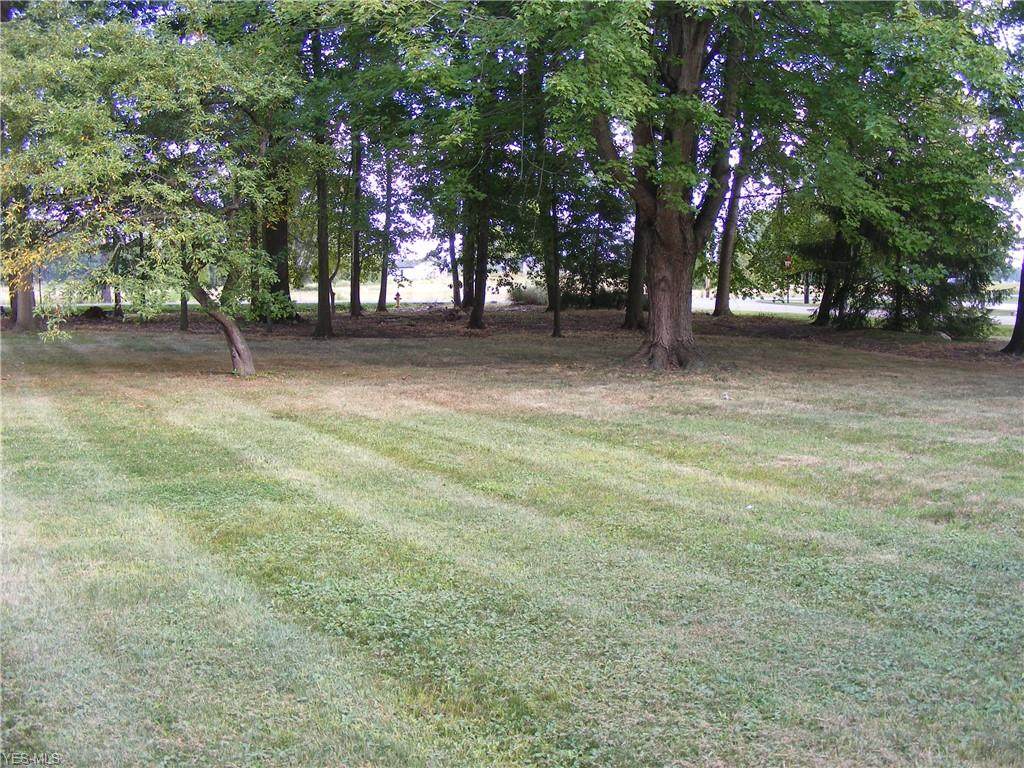 Lutz Avenue - Photo 1