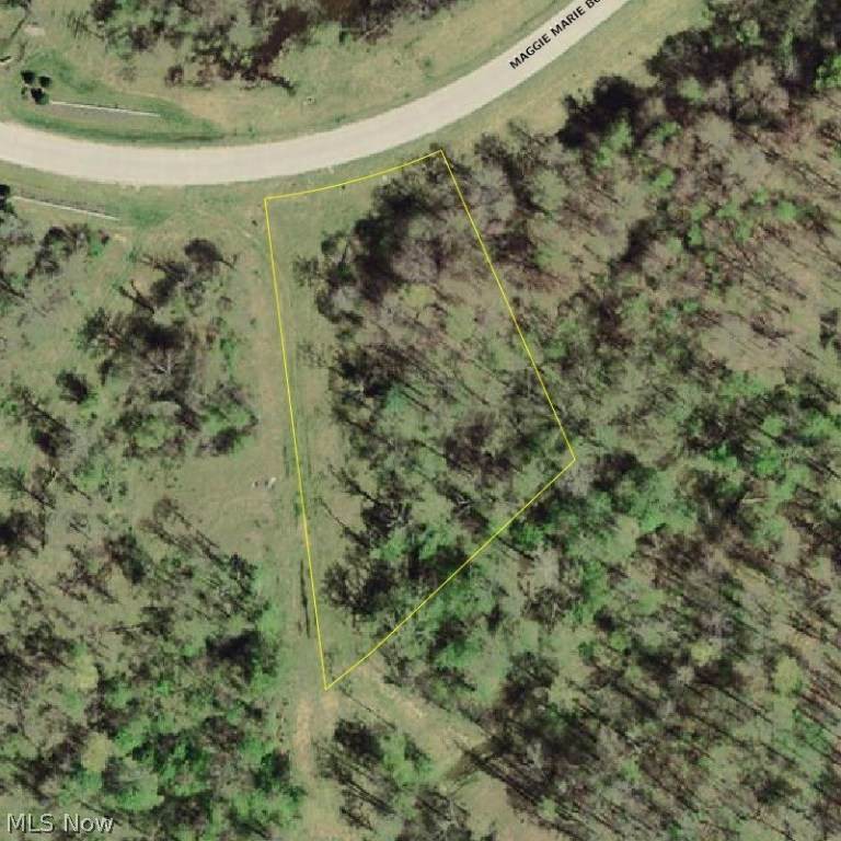 S/L 26 Maggie Marie Boulevard - Photo 1