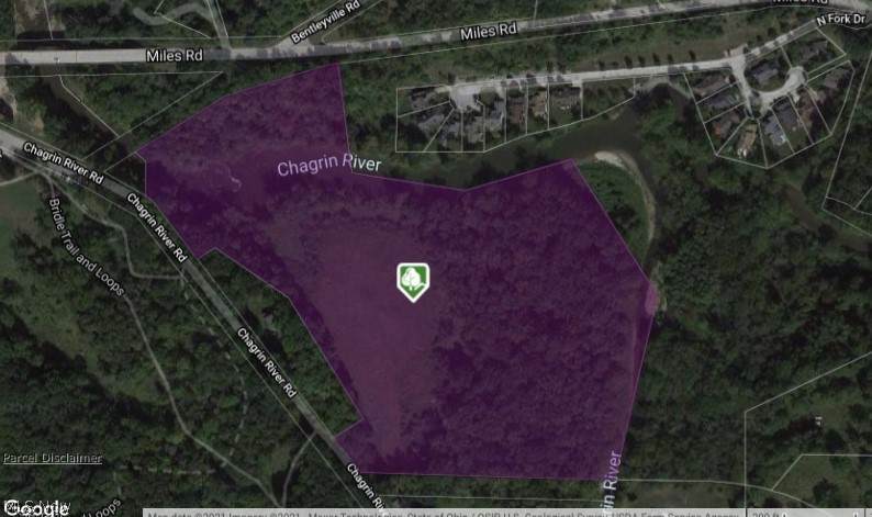 6029 Chagrin River Road - Photo 1