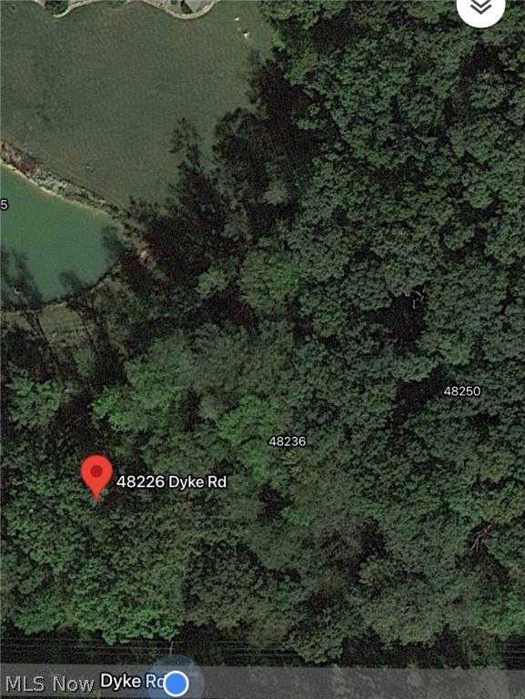48236 Dyke Road - Photo 1