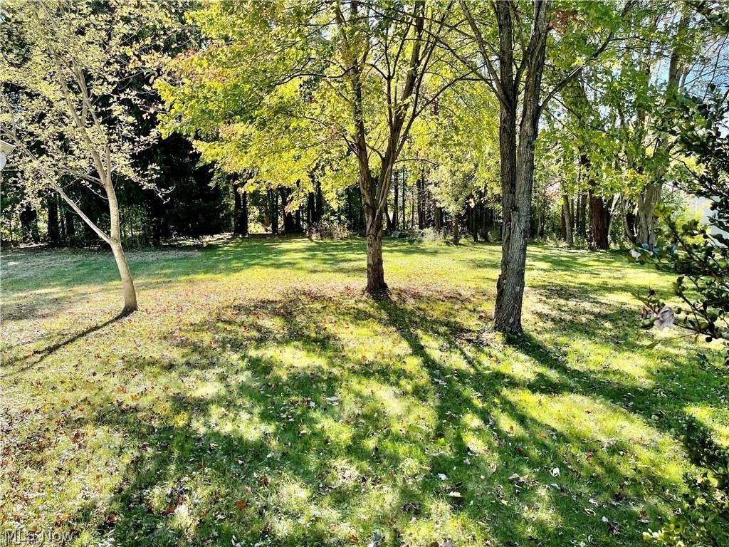 Parkview Avenue - Photo 1