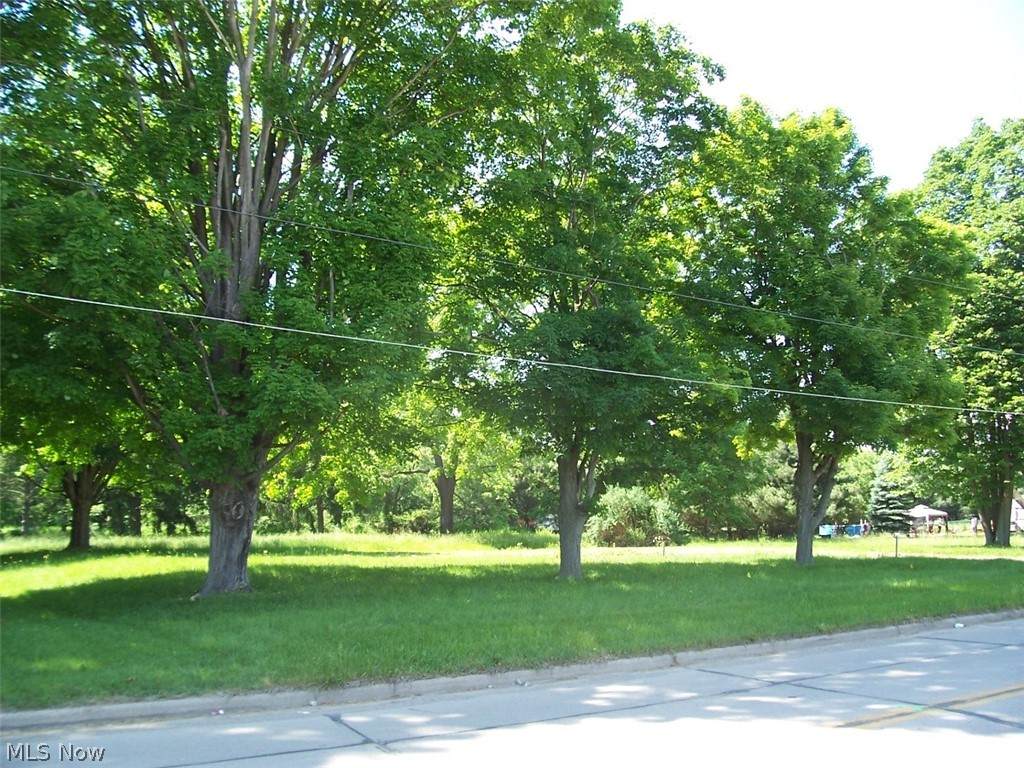 355 Main Street - Photo 1