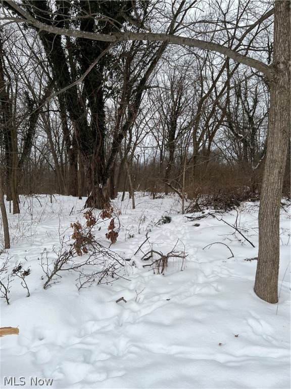 44112 Middle Beaver Road - Photo 1