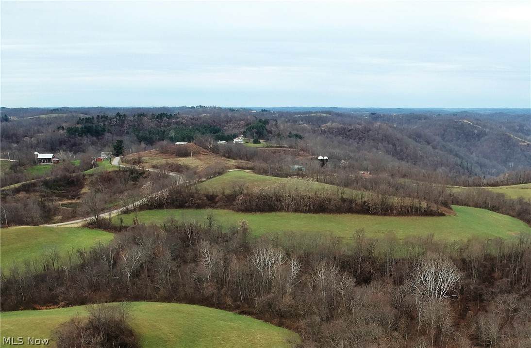 Lot C Sykes Ridge Road - Photo 1