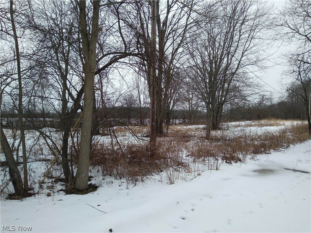 12466 Quarry Road - Photo 1
