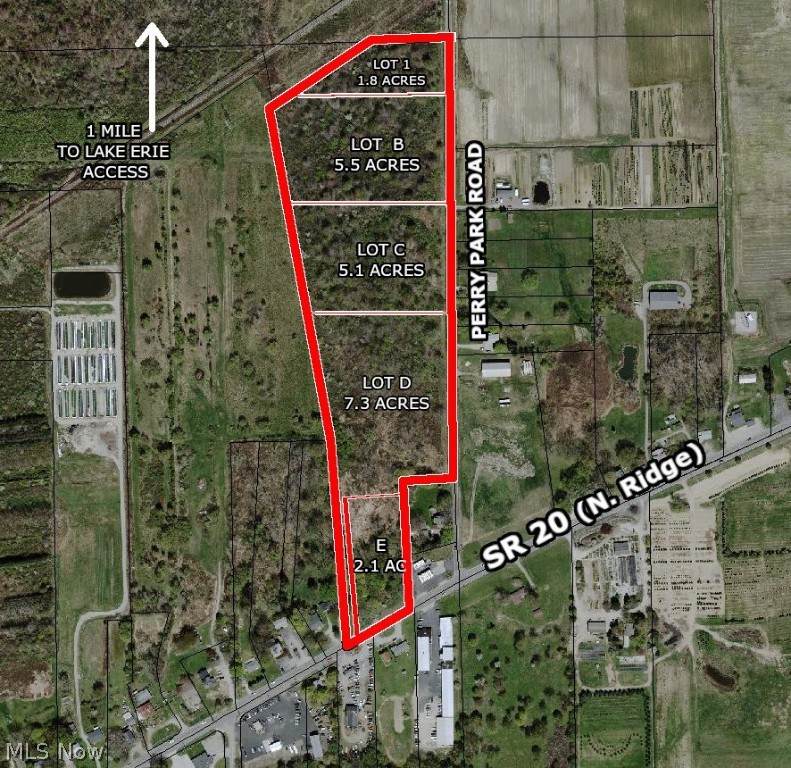 LOT B Perry Park Road - Photo 1