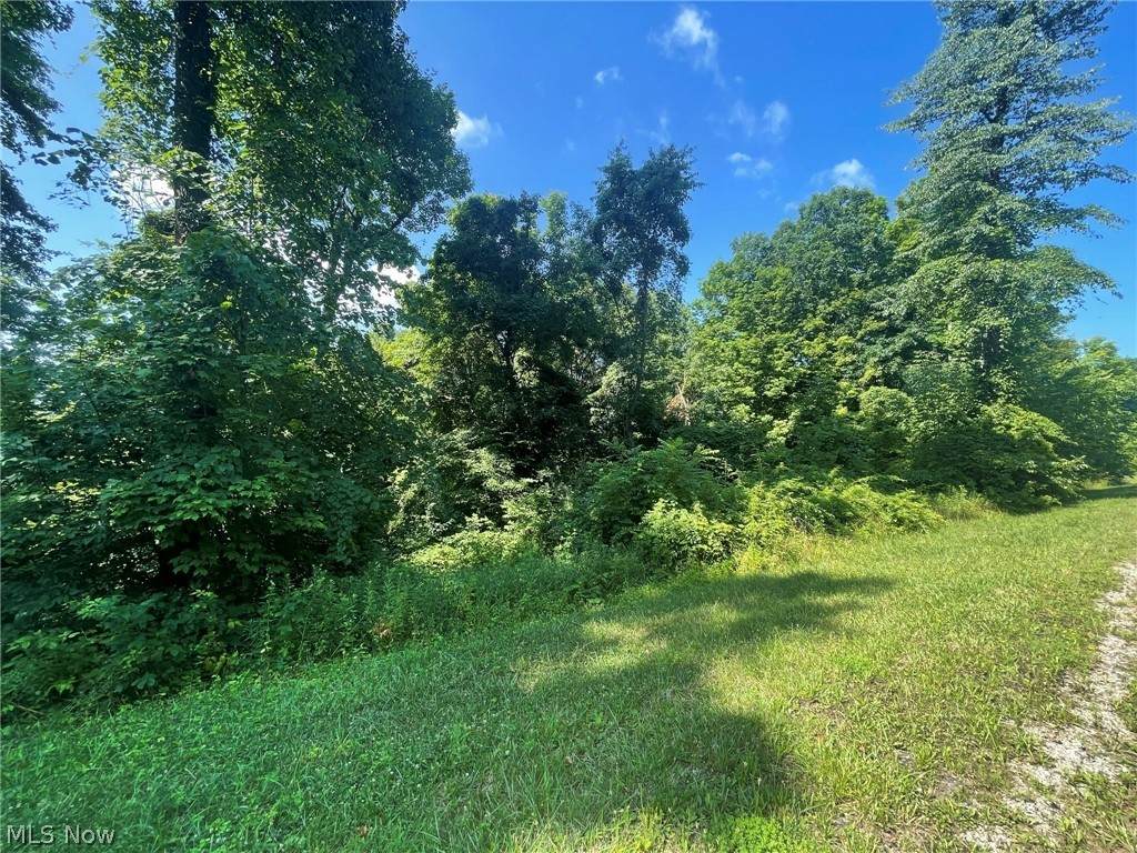 Lot #34 Private Road 343 - Photo 1