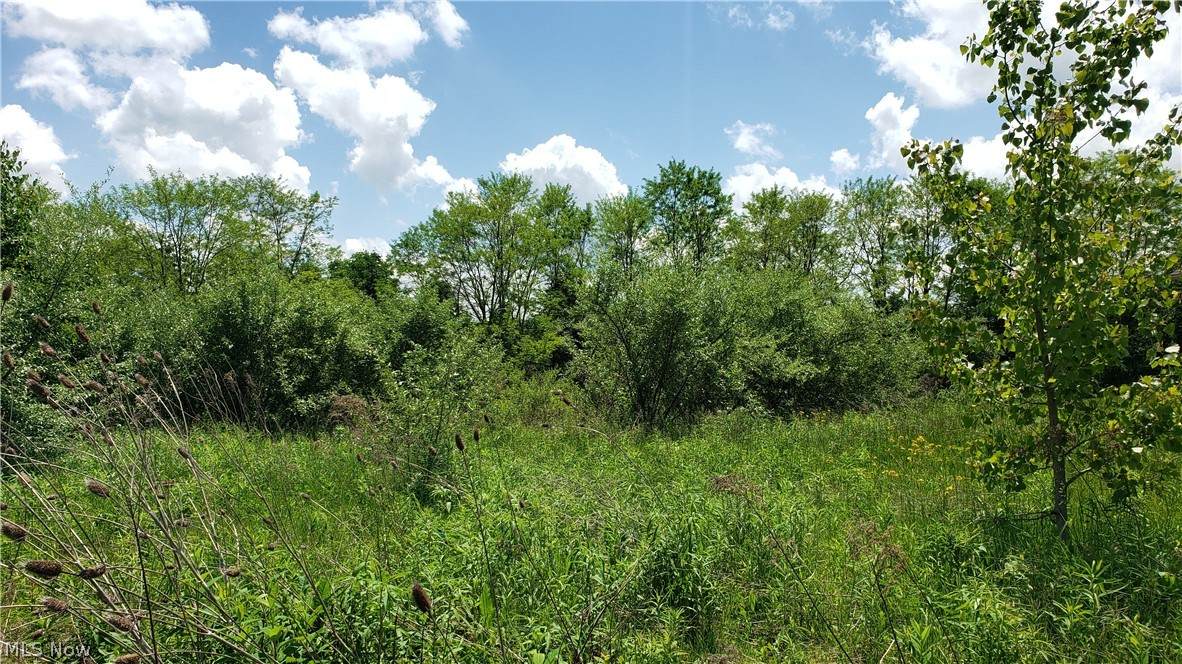 7000 Village Way - Photo 1