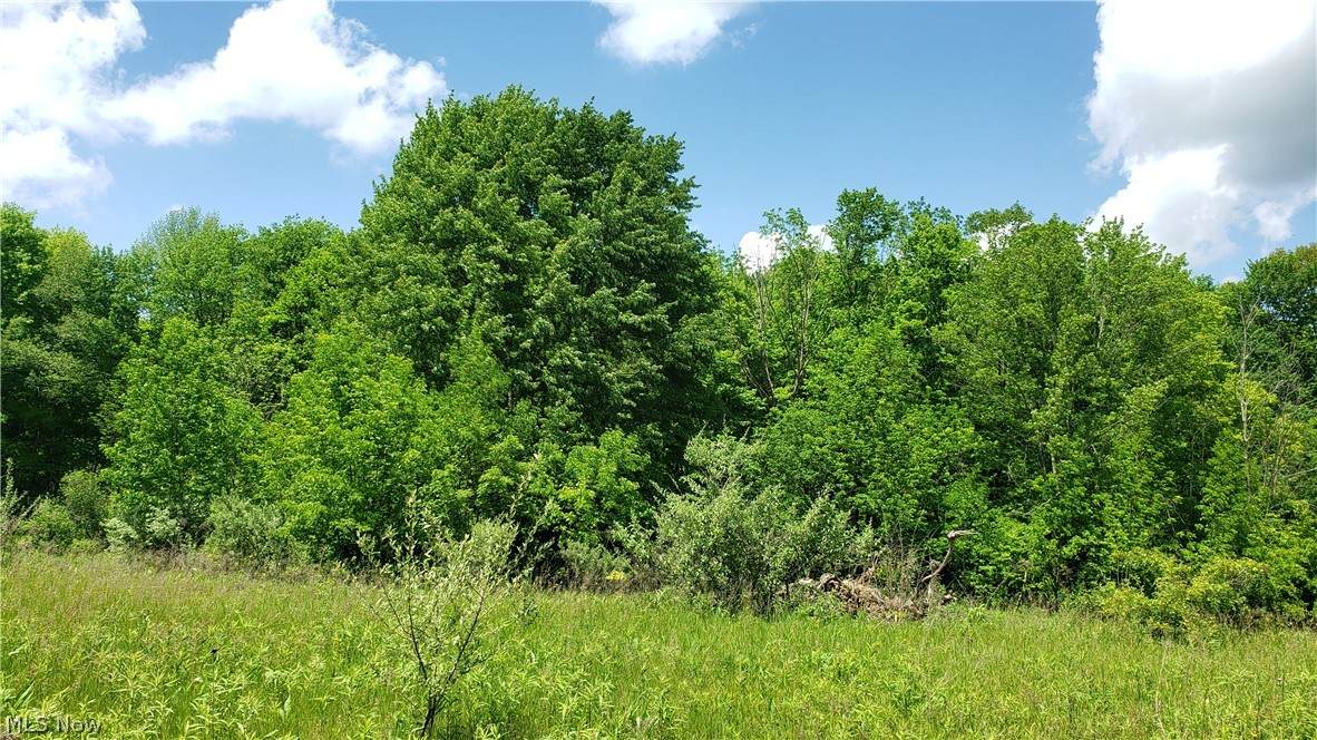 7077 Village Way - Photo 1