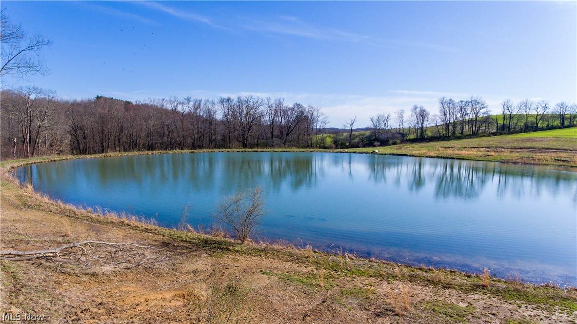 5150 Alamo Road - Photo 1