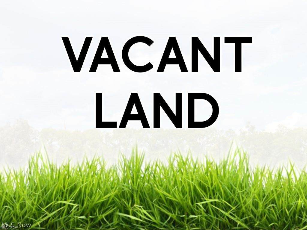 V/L Wenden Court - Photo 1