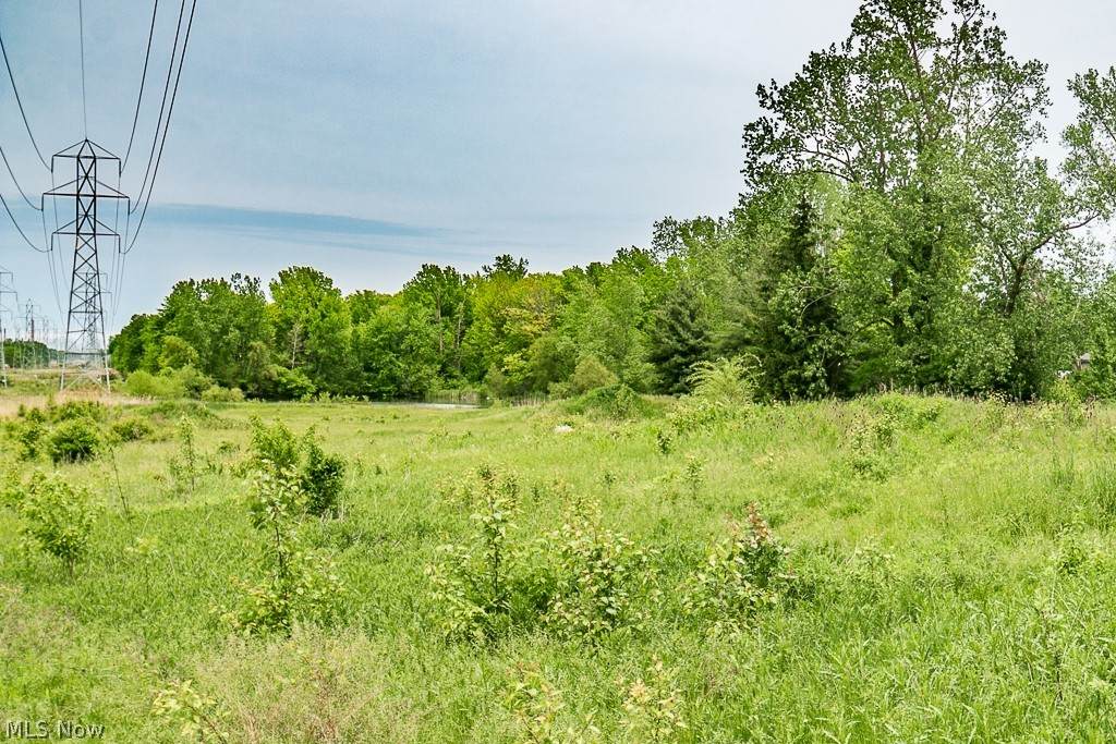 V/L Detroit Road - Photo 1