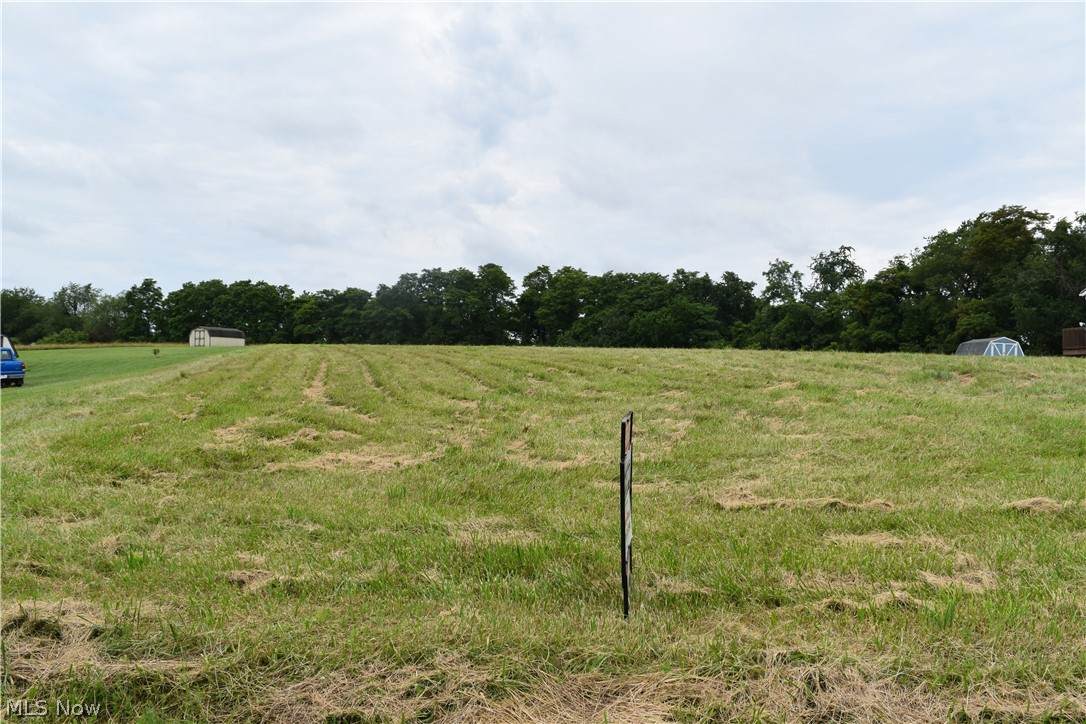 0 Stumptown Lot 2 Road - Photo 1