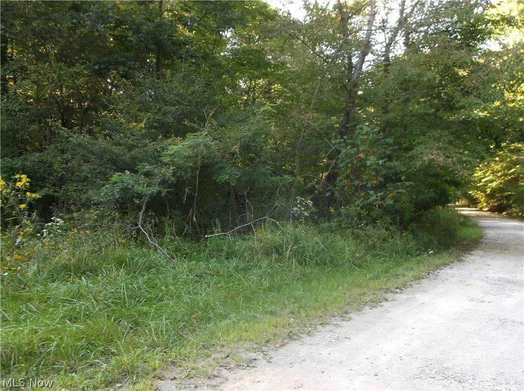 Homestead Drive - Photo 1