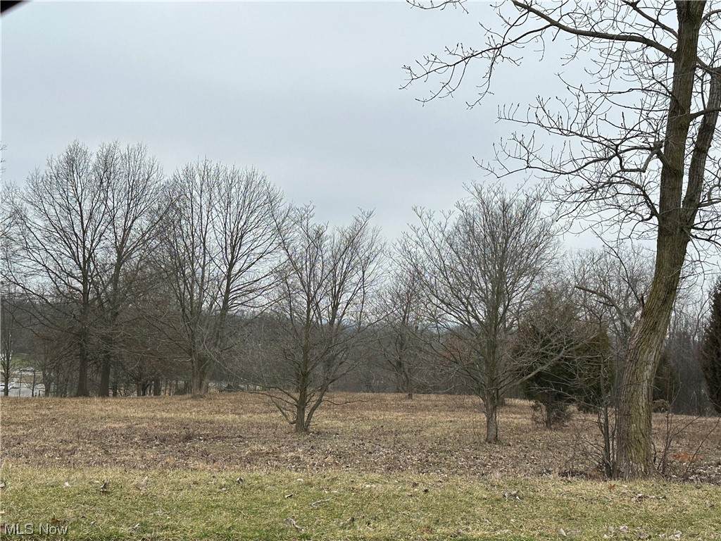  Fortuna Drive - Photo 1