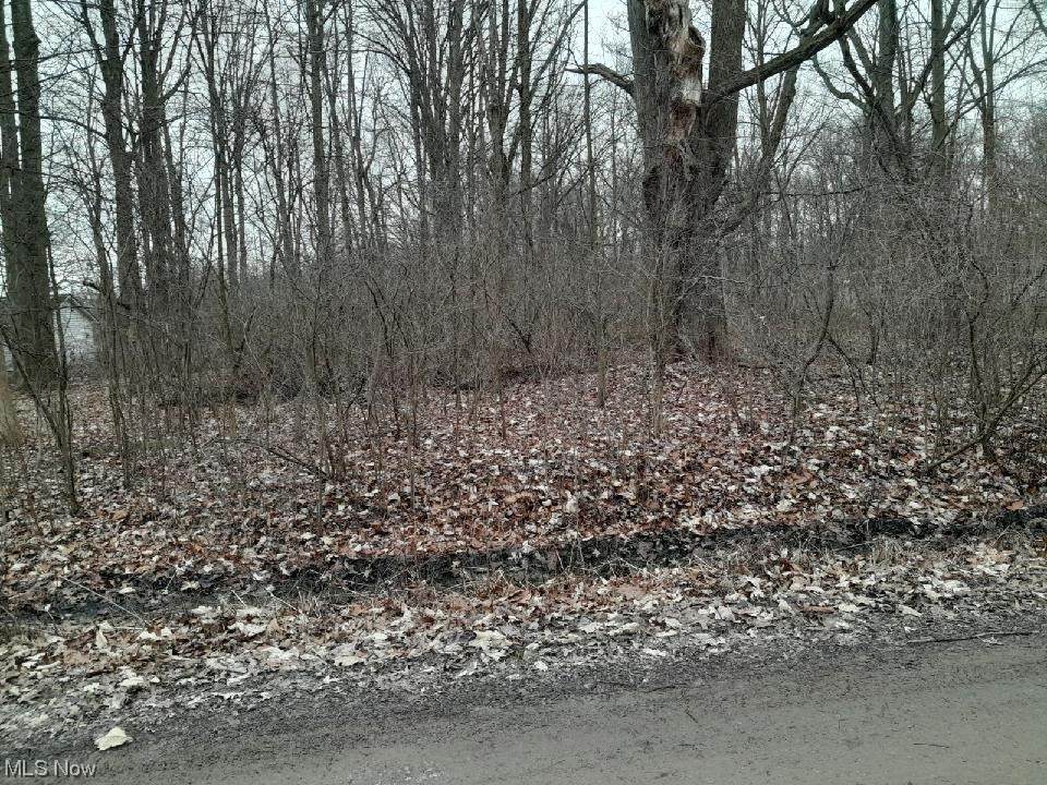  Lakeview Road - Photo 1