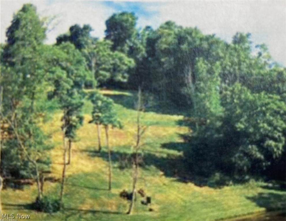 22 Emilee Trace - Photo 1
