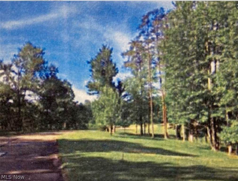 5 Skyview Drive - Photo 1