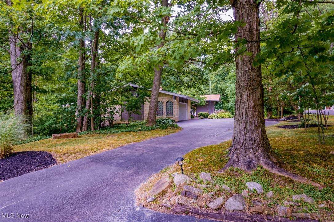 8785 Eagle Road - Photo 1