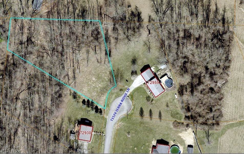  Terra Ridge Lane - Photo 1