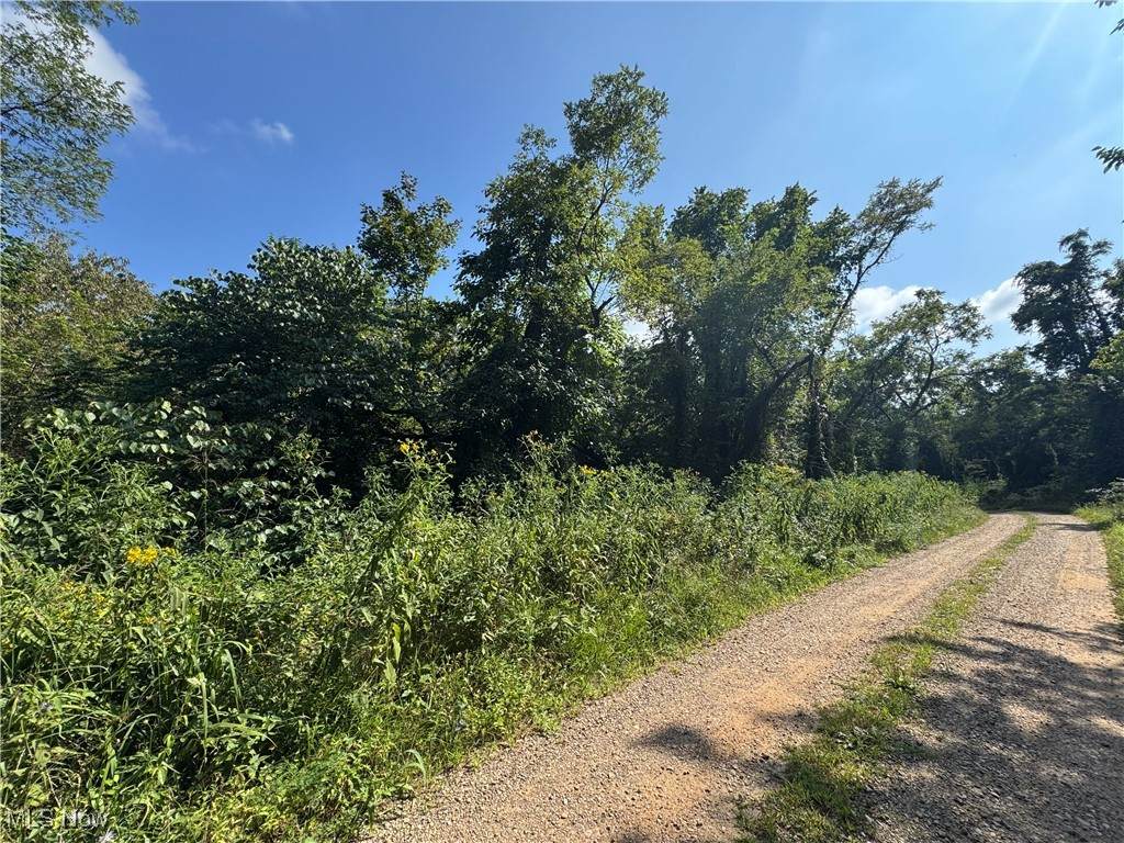  Putnam Drive - Photo 1